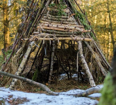 Build a Debris Hut From Scratch